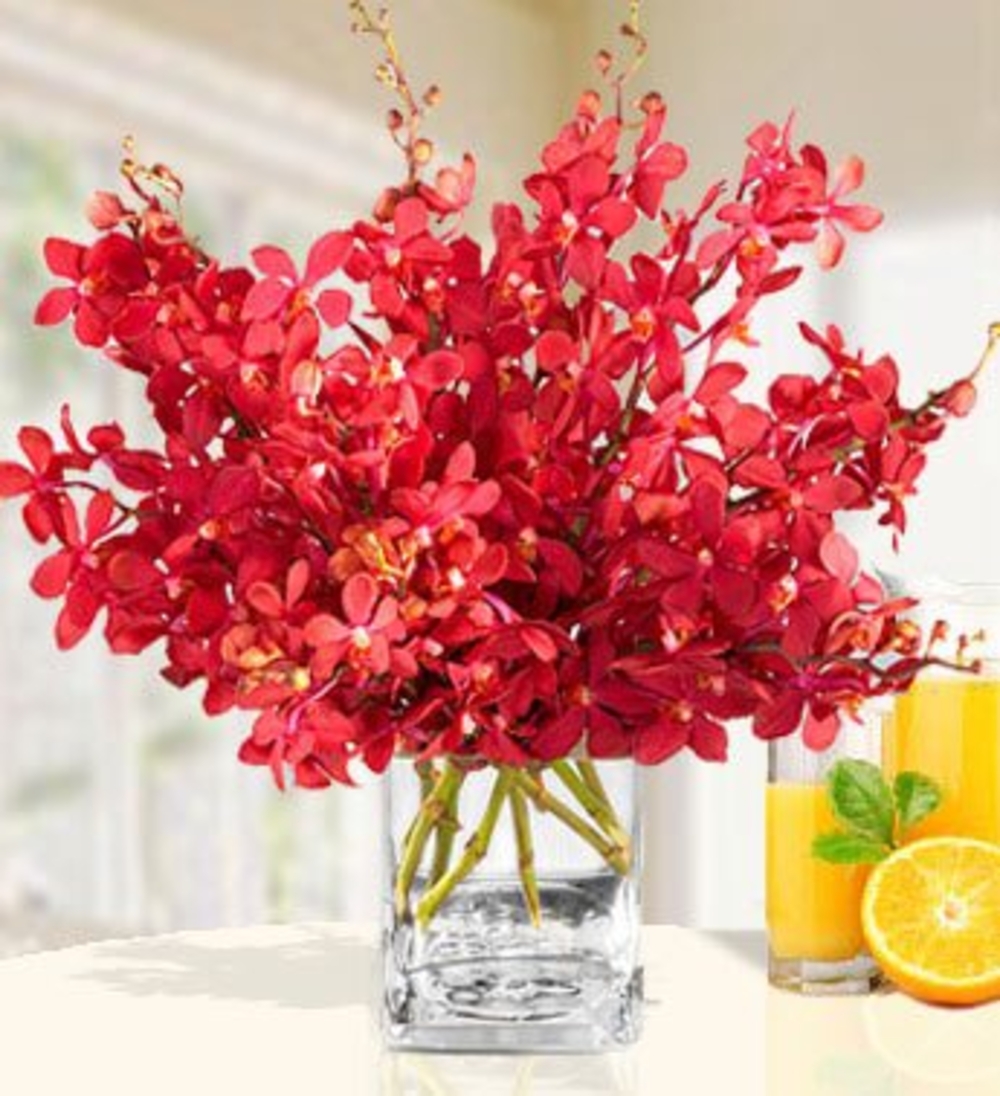 Vase with 20 Red Orchids
