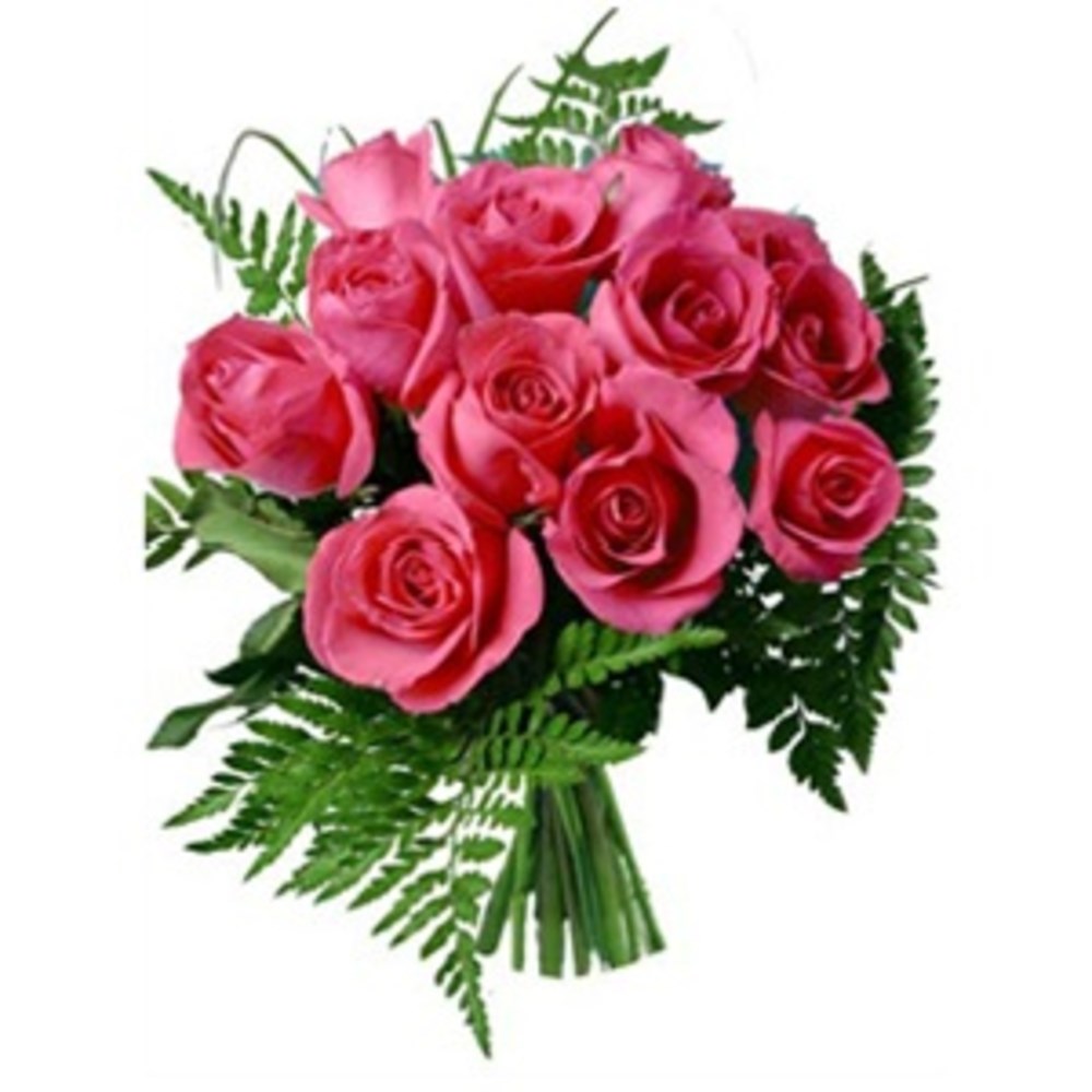 12 Pink Roses Send Flowers To Dubai Online Arabian Florist