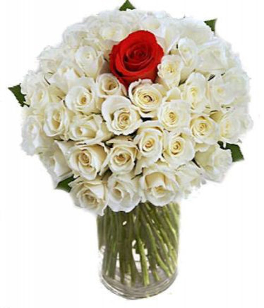 VASE WITH 40 WHITE & 1 RED ROSES